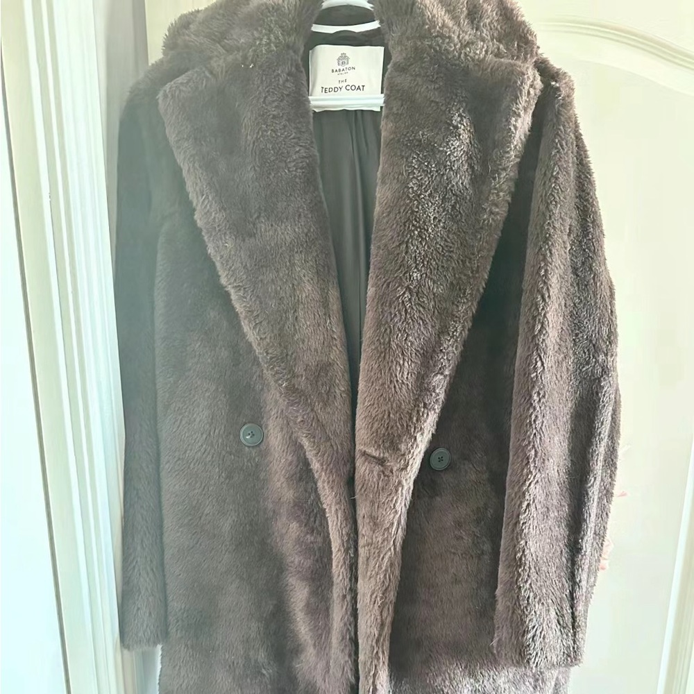aritzia Babaton teddy coat